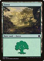 Floresta — Game Night 2019 64