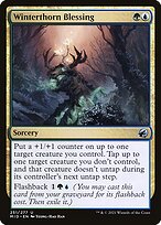 Bênção do Espinho Invernal — Innistrad: Midnight Hunt 251