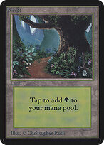 Floresta — Limited Edition Alpha 295