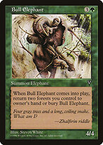 Elefante Macho — Visions 101