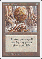 Esfera de Madeira — Unlimited Edition 277