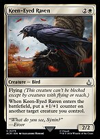 Keen-Eyed Raven — Assassin's Creed 279