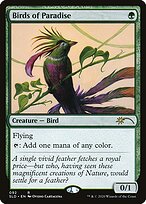 Aves do Paraíso — Ornithological Studies 92