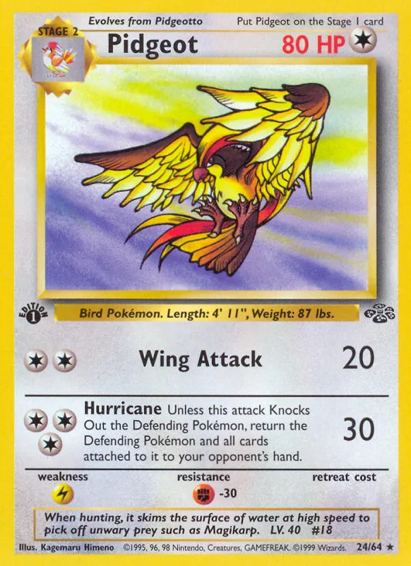 Pidgeot — Selva 24