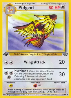 Pidgeot — Selva 24