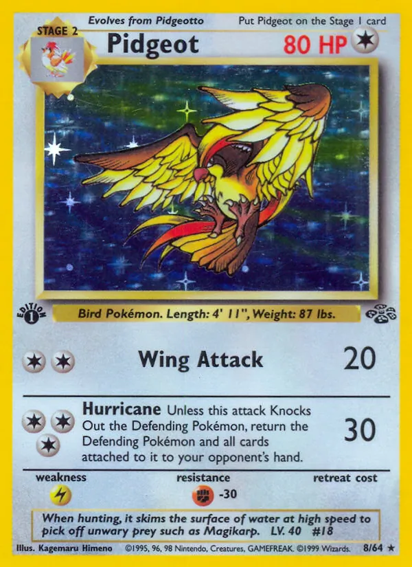Pidgeot — Selva 8