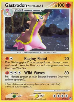 Gastrodon West Sea — Maravilhas Secretas 9