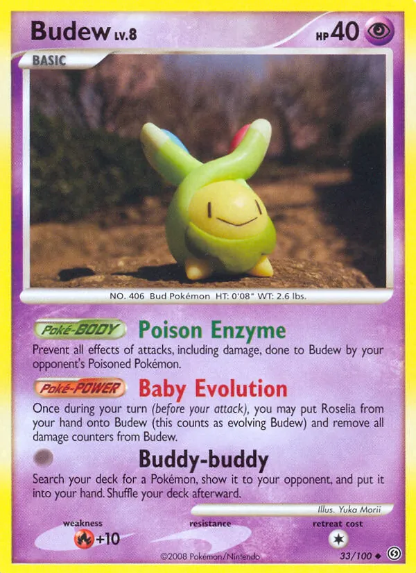 Budew — Stormfront 33
