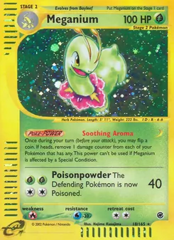 Meganium — Expedition Base Set 18