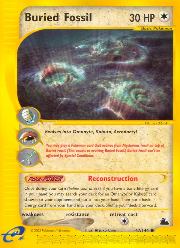 Buried Fossil — Skyridge 47