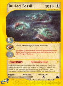Buried Fossil — Skyridge 47