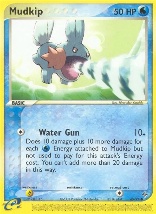 Mudkip — Dragon 65