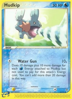 Mudkip — Dragon 65