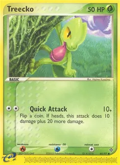 Treecko — Dragon 80