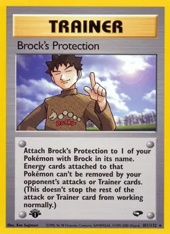 Brock's Protection — Gym Challenge 101