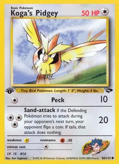 Koga's Pidgey — Gym Challenge 80