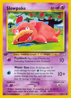 Slowpoke — Neo Genesis 73