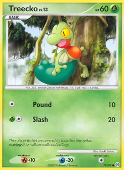 Treecko — Arceus 79