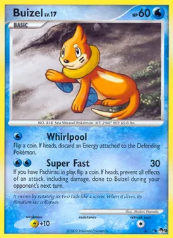 Buizel — POP Series 9 6