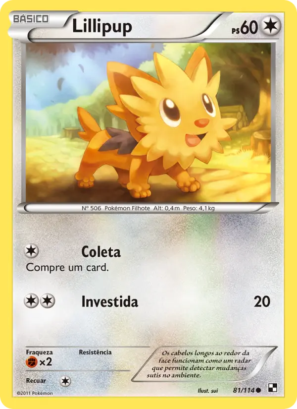 Lillipup — Black & White 81