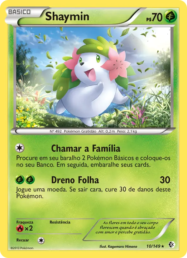 Shaymin — Fronteiras Cruzadas 10