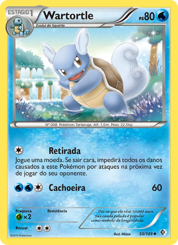 Wartortle — Fronteiras Cruzadas 30