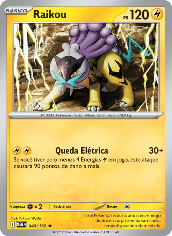 Raikou — Megaevolução 048