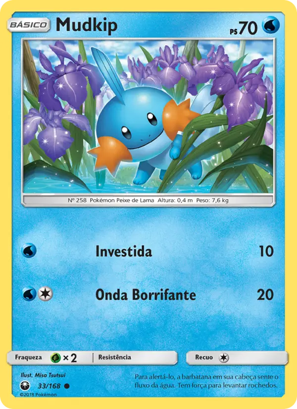 Mudkip — Tempestade Celestial 33