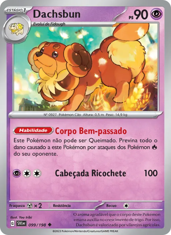 Dachsbun — Escarlate e Violeta 099