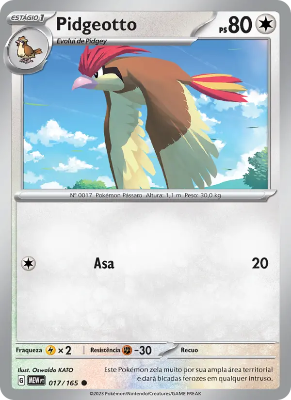 Pidgeotto — 151 017