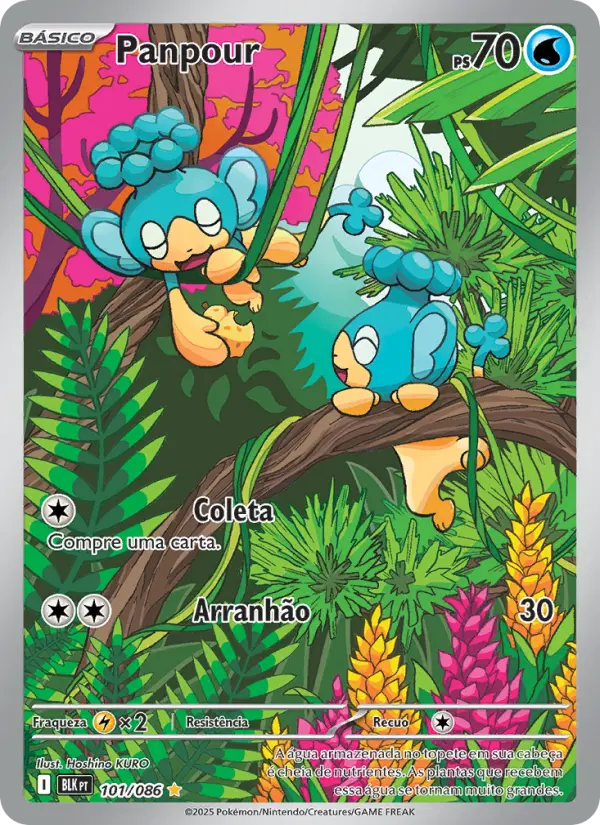 Panpour — Raio Preto 101
