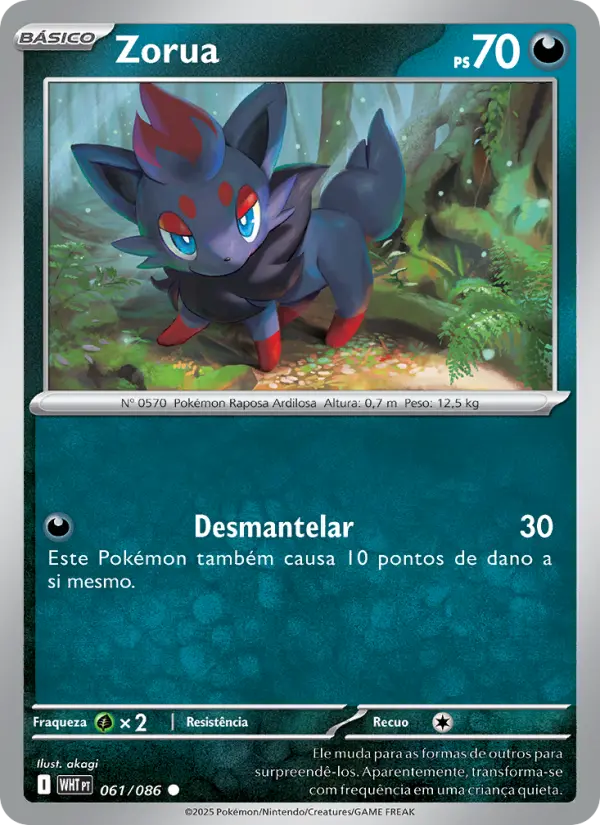 Zorua - Fogo Branco
