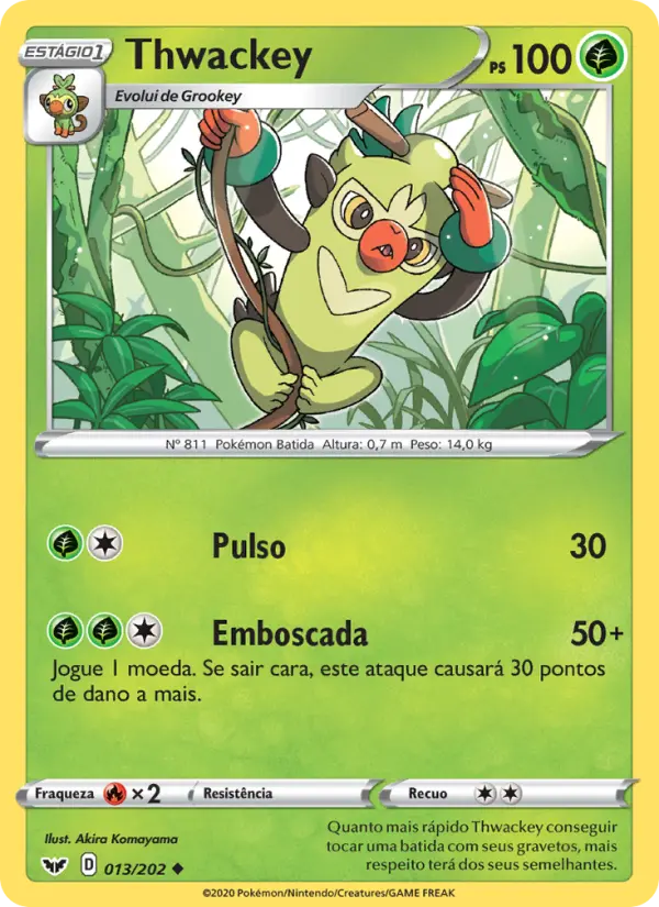 Thwackey — Espada e Escudo 13
