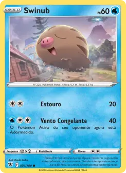 Swinub — Estrelas Radiantes 031