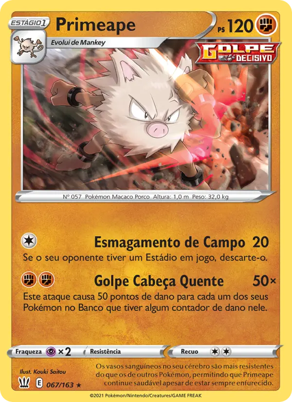 Primeape — Estilos de Batalha 67