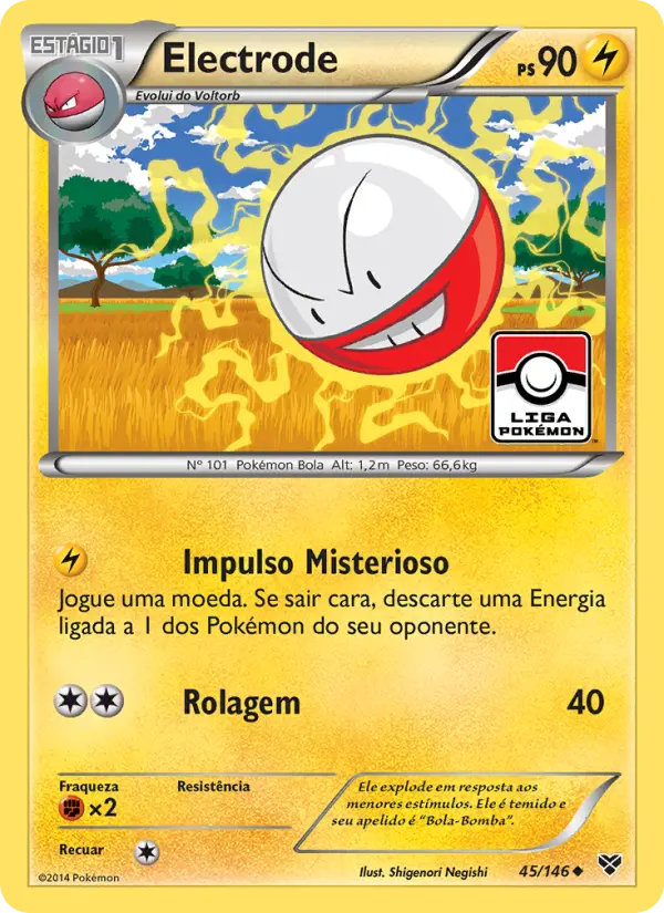 Electrode — XY 45