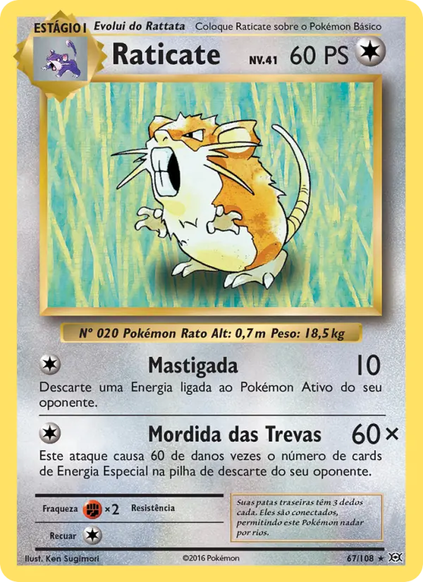 Raticate — Evoluções 67