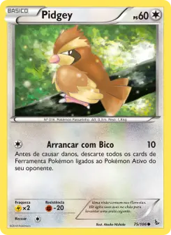 Pidgey