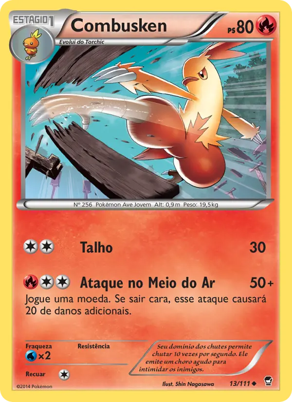Combusken — Punhos Furiosos 13
