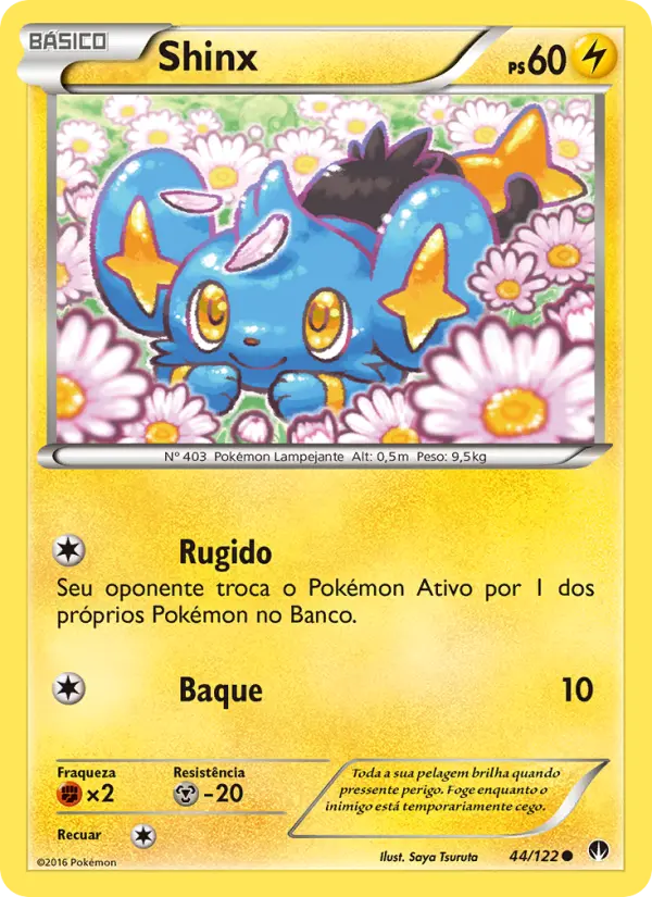 Shinx — Turbo Colisão 44