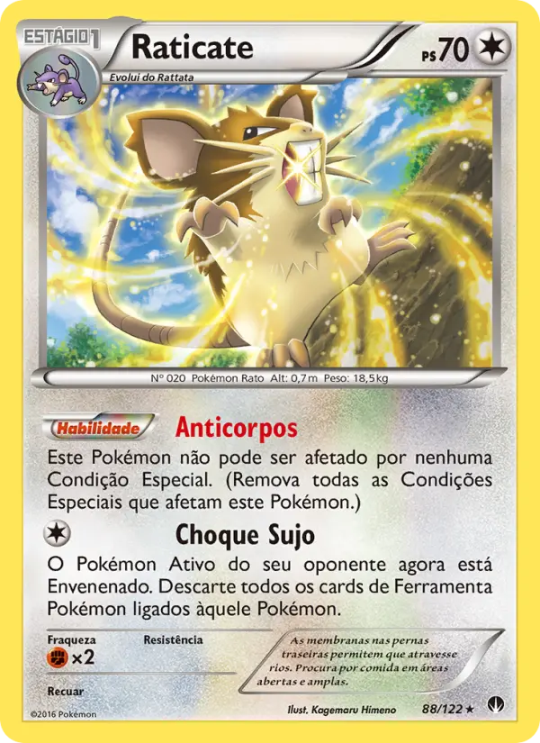 Raticate — Turbo Colisão 88