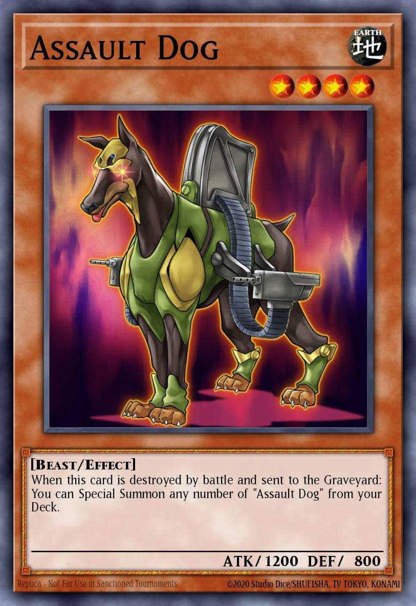 Cão de Assalto — Dragons of Legend: The Complete Series EN035