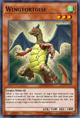 Wingtortoise — Generation Force: Special Edition EN022