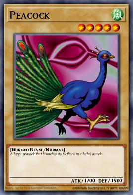 Pavão — Magic Ruler 011