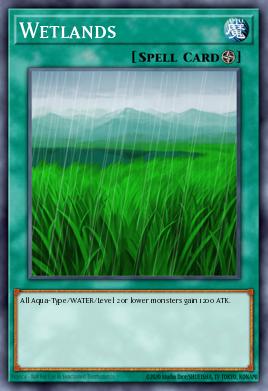 Terras Molhadas — Light of Destruction: Special Edition EN054