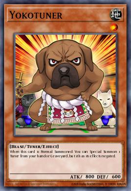 Yokotuner — Raging Tempest: Special Edition EN031