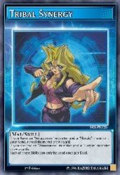 Sinergia Tribal — Speed Duel Starter Decks: Duelists of Tomorrow ENCS3