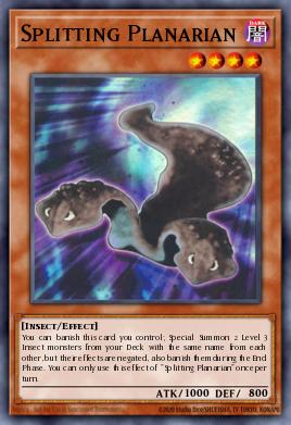 Splitting Planarian — 2025 Mega-Pack Tin EN263