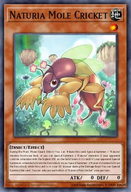 Naturia Mole Cricket — Darkwing Blast EN020